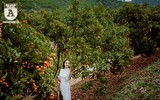 {ẢNH] Thiếu nữ Hà thành thướt tha áo dài bên đồi vải Lục Ngạn